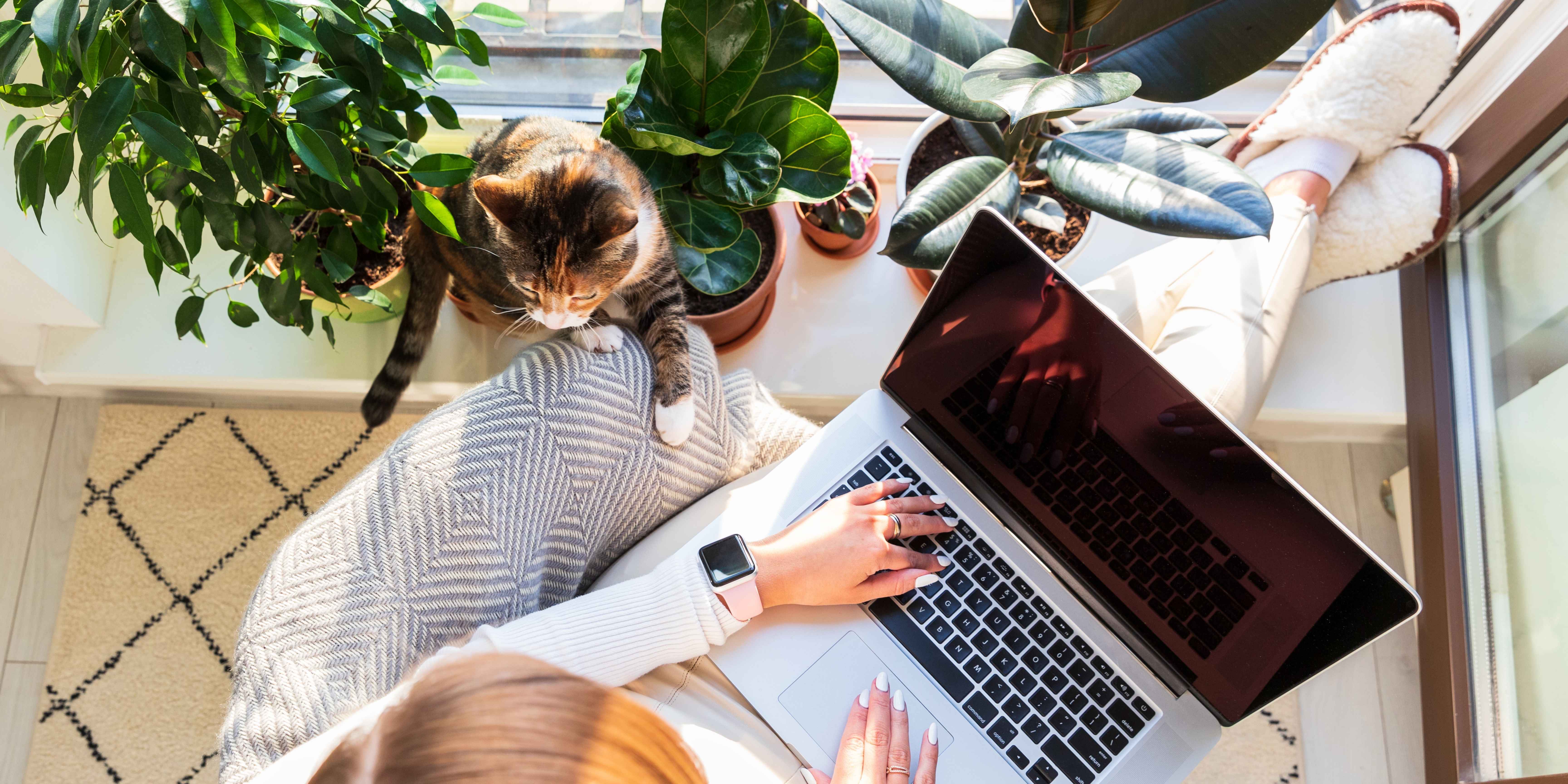 Tekstschrijver Zuid-Limburg